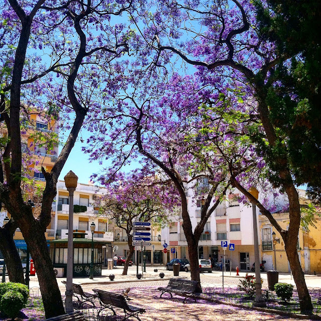 WHAT UP, SWAGS?! Photos of Faro, Portugal