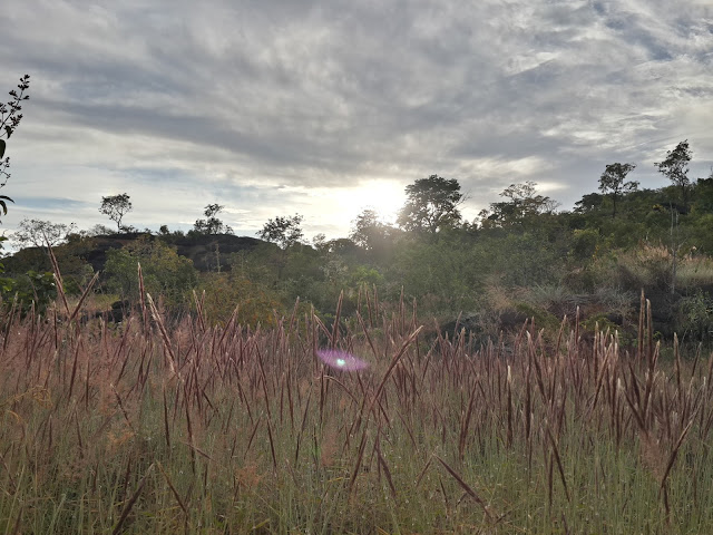 Blog Apaixonados por Viagens - Chapada dos Veadeiros - Passeios - Segredo - Loquinhas - Vale da Lua - Almécegas