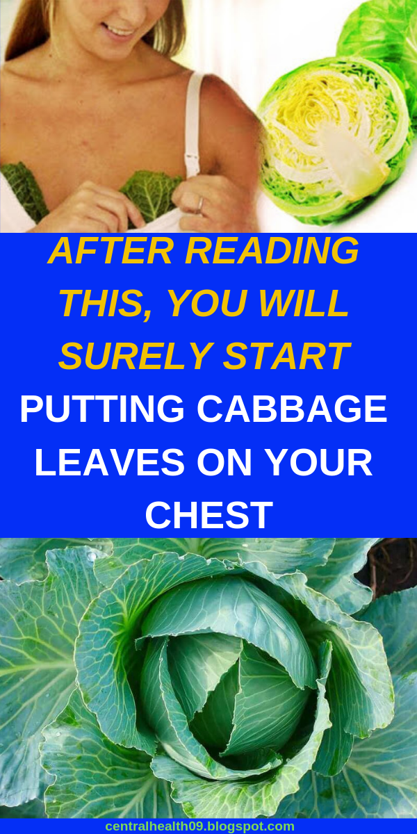 AFTER READING THIS, YOU WILL SURELY START PUTTING CABBAGE LEAVES ON