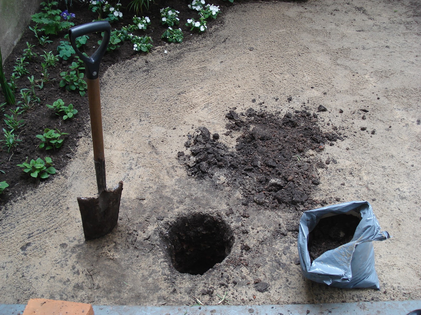 Reverdir **JARDINERIA Y PAISAJISMO**: CÓMO SE HACE UN POZO DE DRENAJE