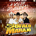 BÚFALO DO MARAJÓ PARAGOMINAS DJ RAFAEL CASSIANO- CD AO VIVO - BAIXAR GRÁTIS