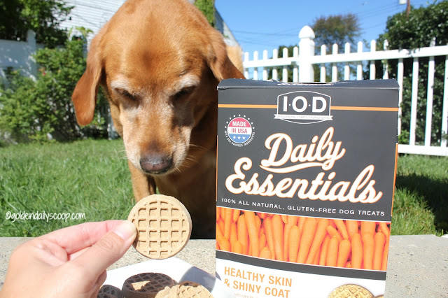 healthy dog treats for healthy skin and shiny coat review