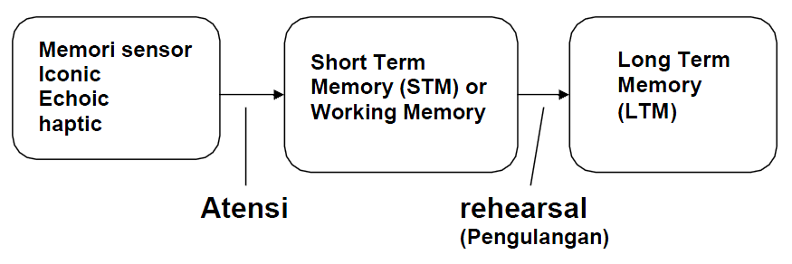 Short memory. Long-term and short-term Memory. Short term Memory. Long short term Memory модели. Short term Memory vs long term Memory.