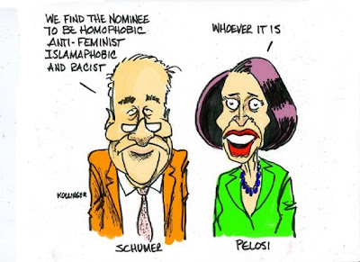 Image result for schumer cartoons
