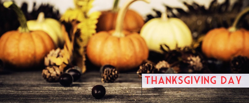 Solved thanksgiving quiz puzzle