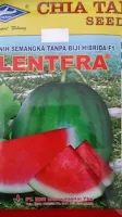 buah besar, daging merah, buah bulat, semangka non biji, semangka Lentera, Buah Lonjong, Buah Oval, Non Biji Lentera, Cap Kapal Terbang