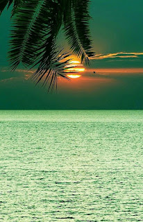 puesta-de-sol-entre-nuebes-junto-al-mar