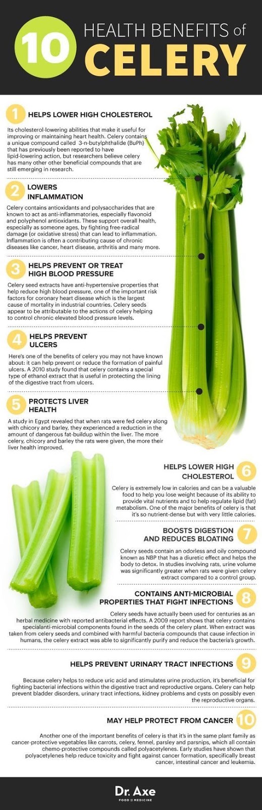 Health Fitness & Beauty 10 reasons why we should eat celery on