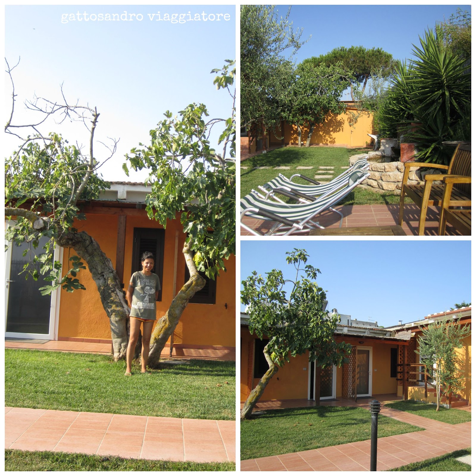 Hotel Argentario Sul Mare Stelle Hotel Argentario Sul Mare Stelle