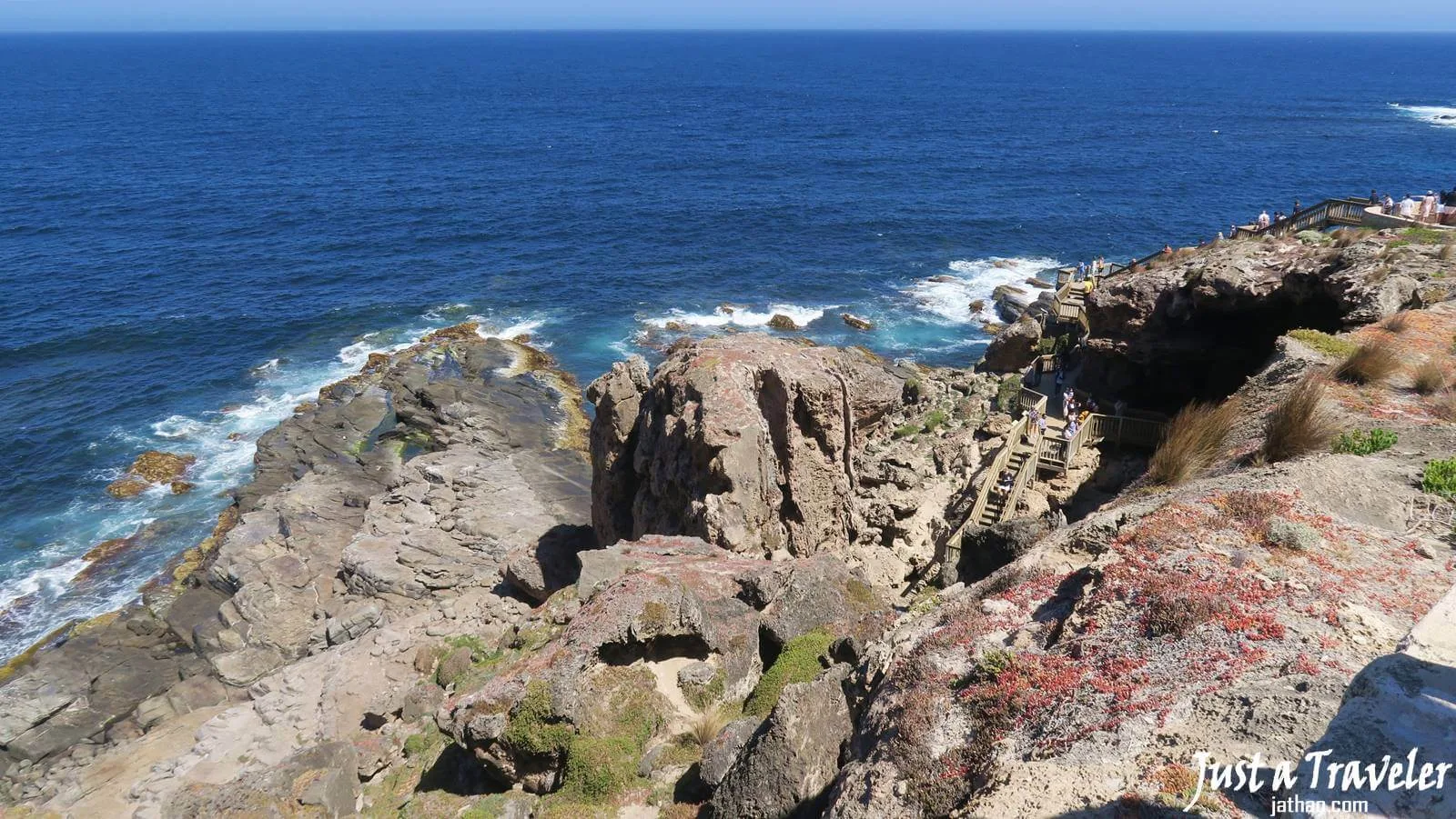 阿德萊德-袋鼠島-Kangaroo-Island-旗艦拱門-Admirals Arch-交通-景點-行程-推薦-遊記-自由行-旅遊-一日遊-二日遊-Adelaide-阿得雷德