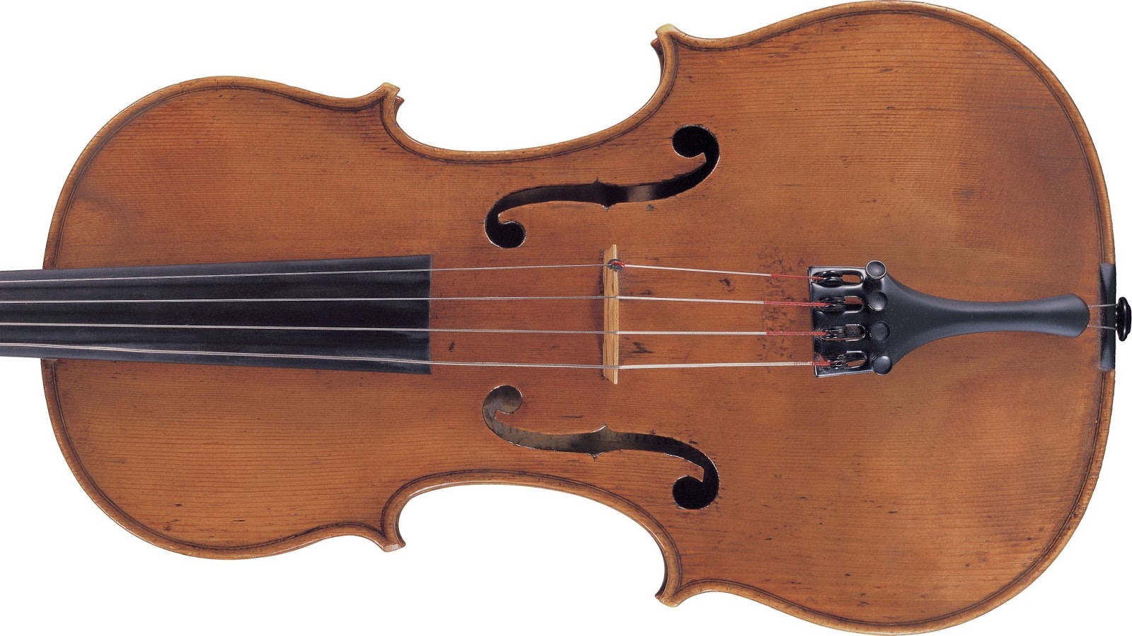 David of Santa Barbara Violin Maker David Beard Founding a Violin