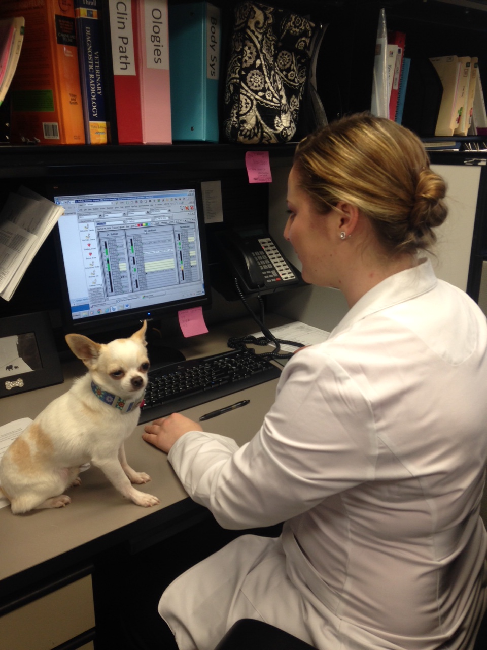 Laguna Hills Animal Hospital Doctor Cassidy Jackson!