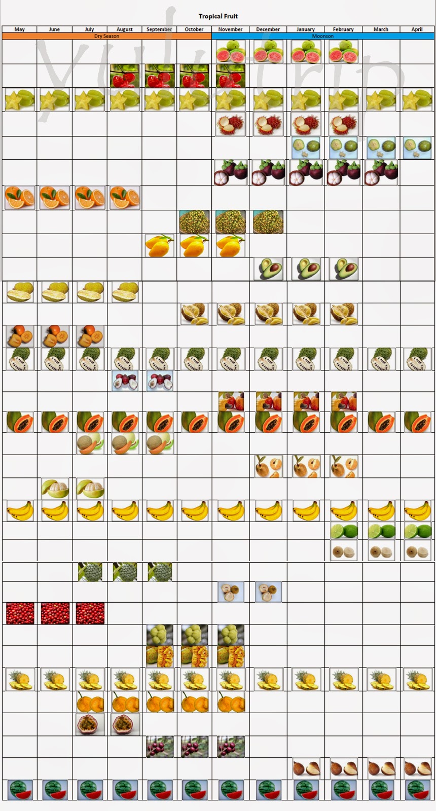 Сезонные овощи и фрукты в россии: таблица, ассортимент и цены