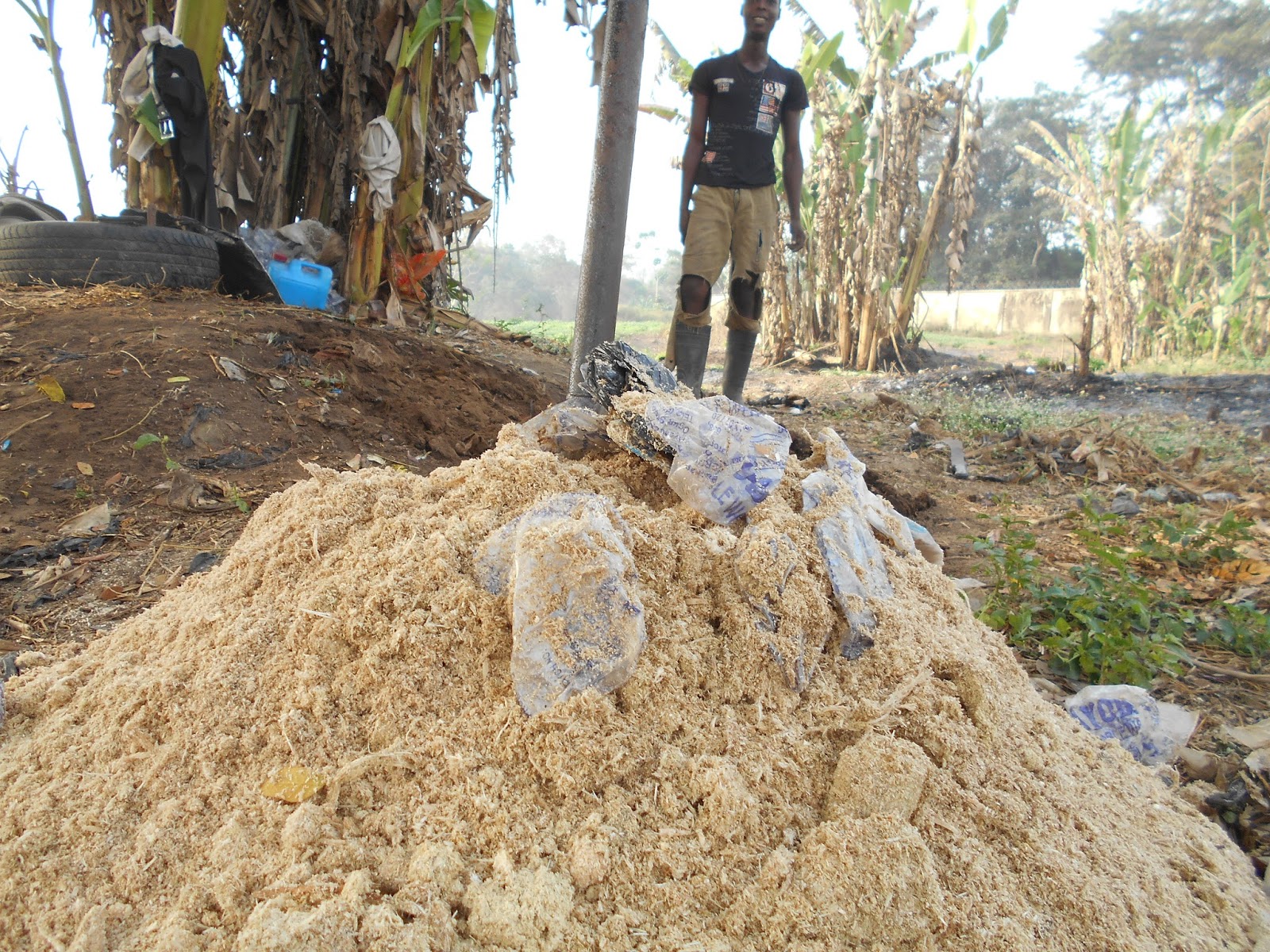 WHY AND WHY NOT? THE USE OF SAWDUST IN YOUR GARDEN, FARMS & VEGGIES