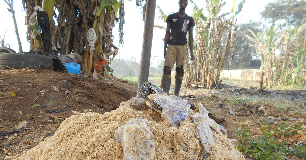 WHY AND WHY NOT? THE USE OF SAWDUST IN YOUR GARDEN, FARMS & VEGGIES