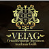 VEIAG a global organization dedicated to the development business platform