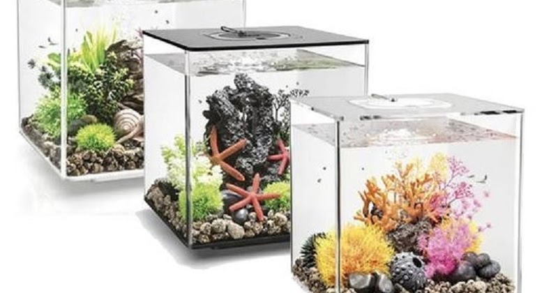 Tips for Moving Your Fish Tank - Top Blogin - Home Improvement Guest Post
