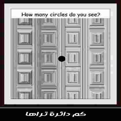 لغز كم دائرة تراها في هذه الصورة