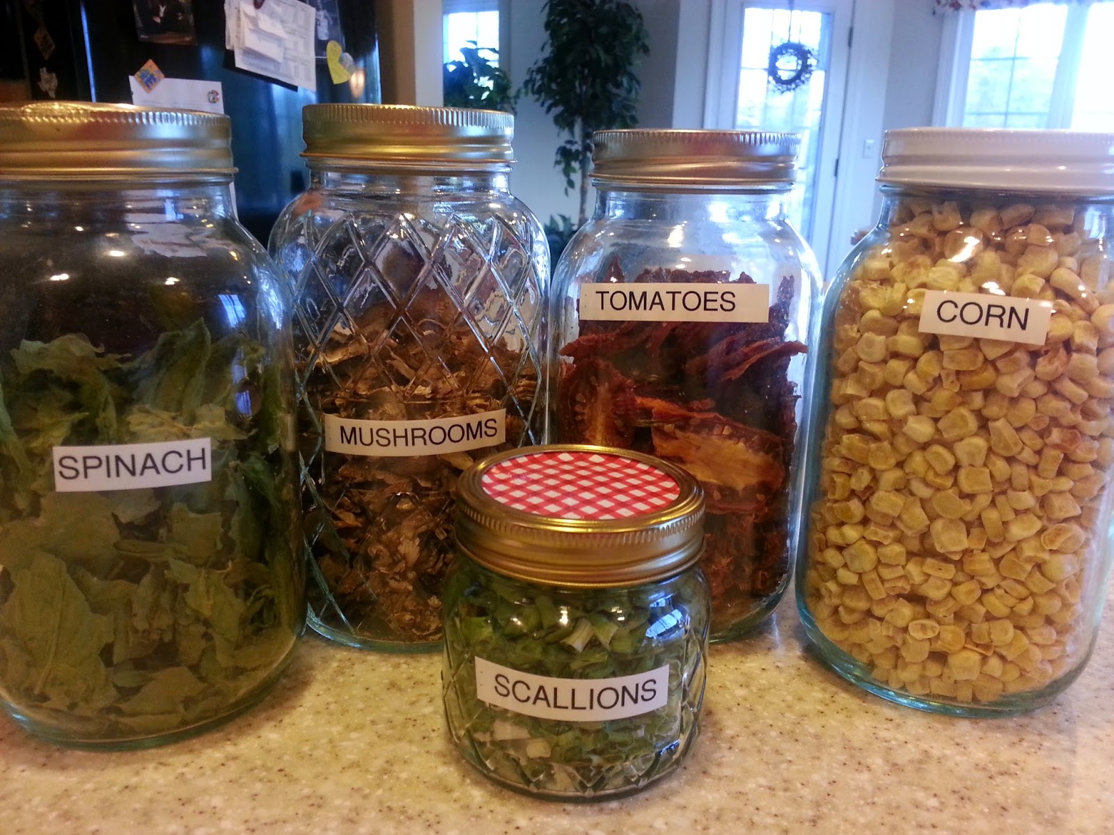 Demeter's Dish Dehydrating Your Own Vegetables to Use in Trail Meals