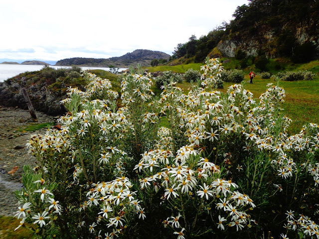 ushuaia parque nacional tierra del fuego trilhas