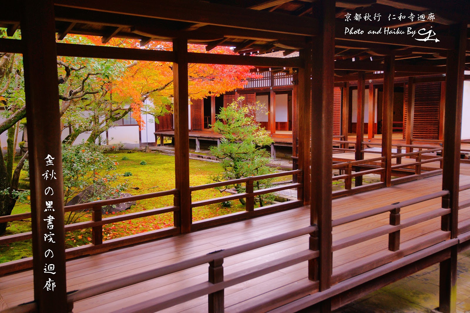 我之所攝 心之所見 滌癒人心 意味深遠 請跟隨我進入這攝影與詩歌交織成的視界 並帶回滿滿的感動 京都秋行錦秋の仁和寺ninnaji Buddhist Temple Maple In Early Autumn On November Kyoto Japan