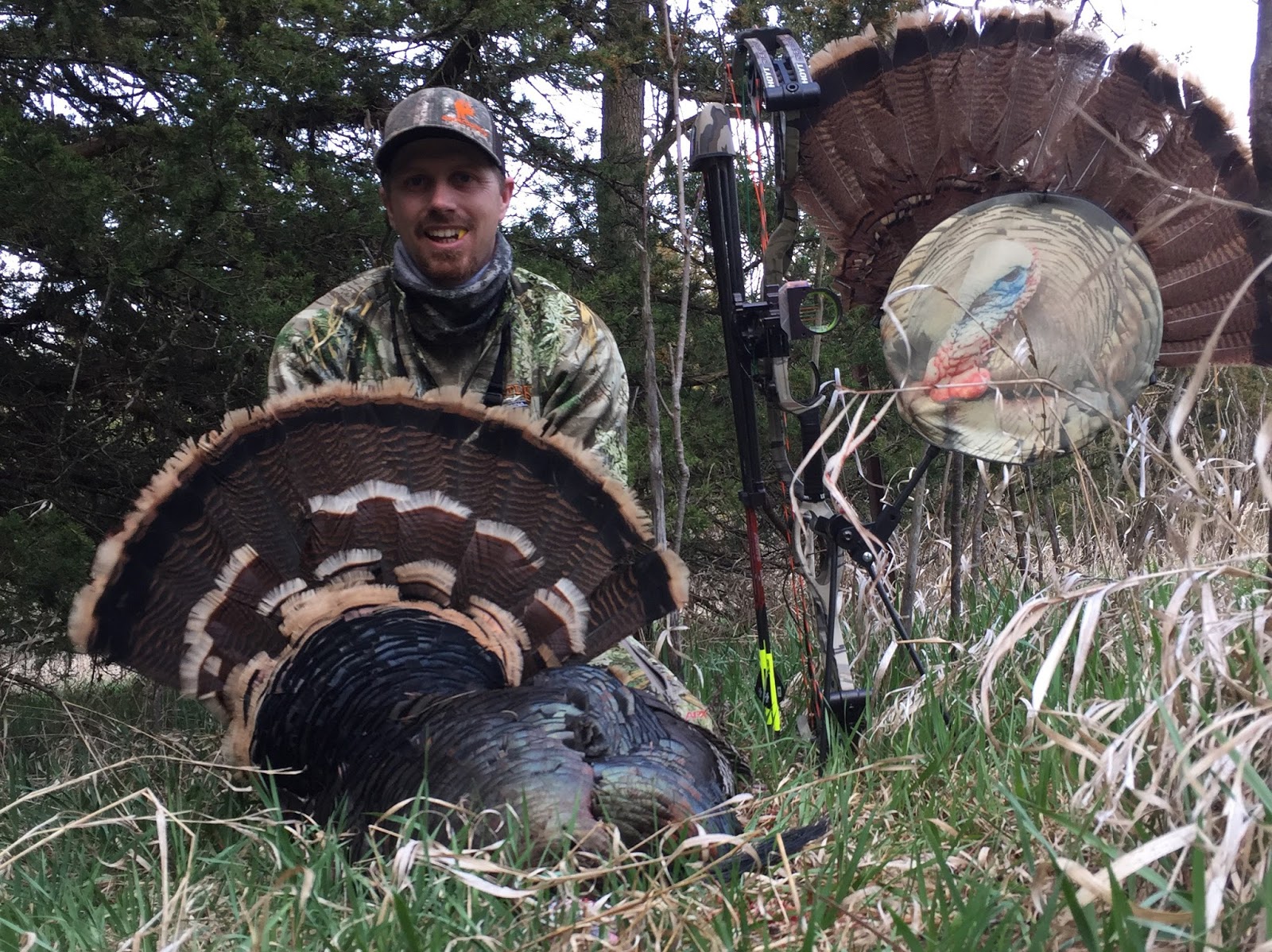 DIY Public Land Nebraska Turkey Hunt Heads Up Decoy