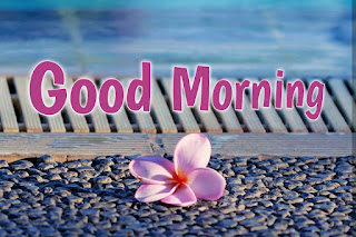 good morning good morning