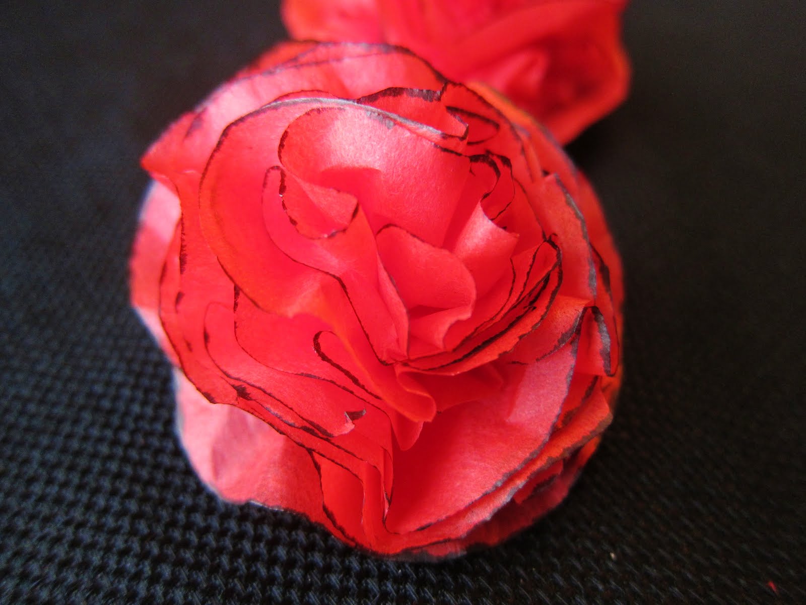 Chelsea's Tissue Paper Carnations