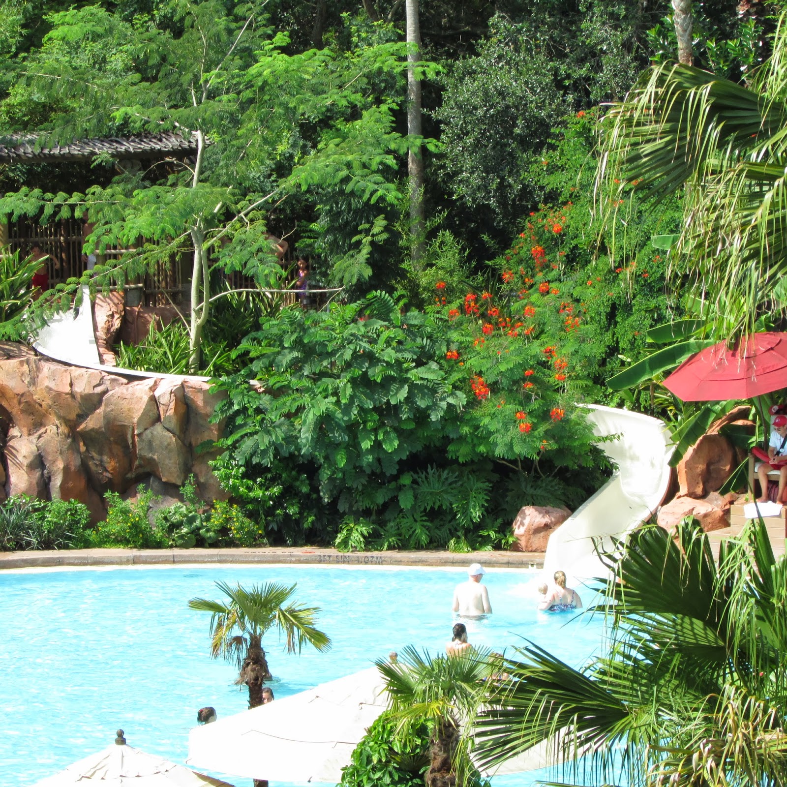 The Ultimate Life List: LIFE LIST: ANIMAL KINGDOM LODGE RESORT