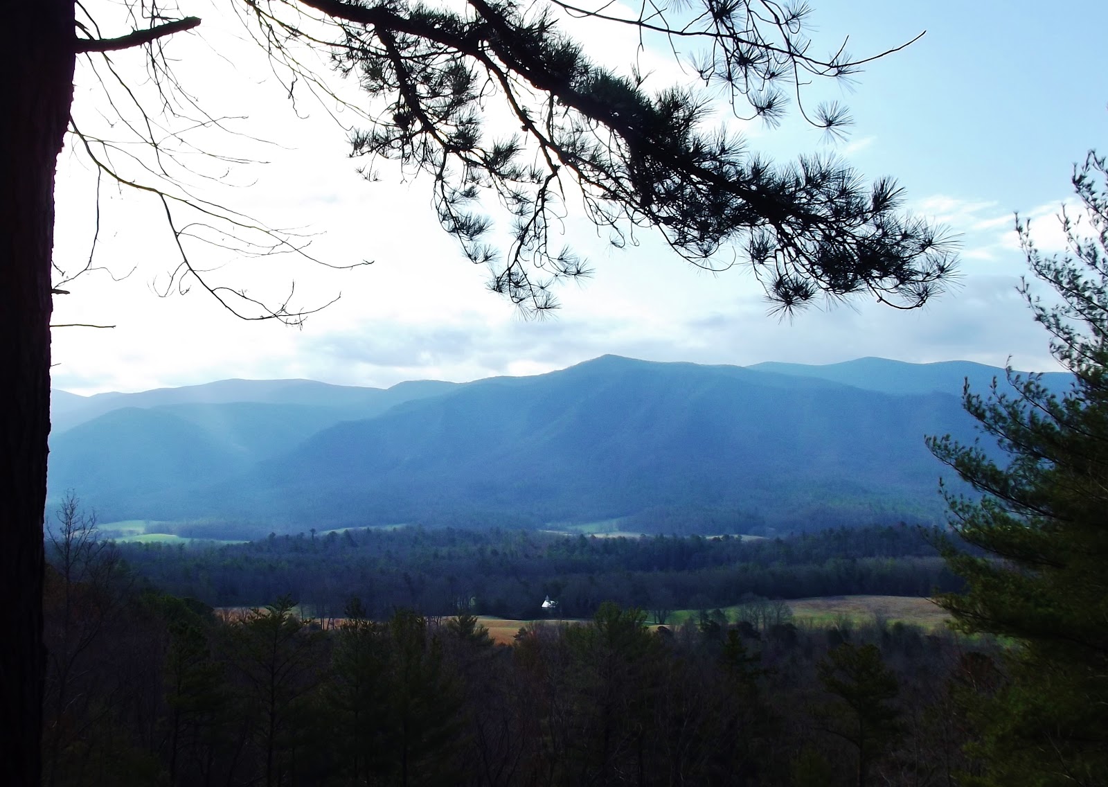 MY MOUNTAINS Early April in Great Smoky Mountains National Park