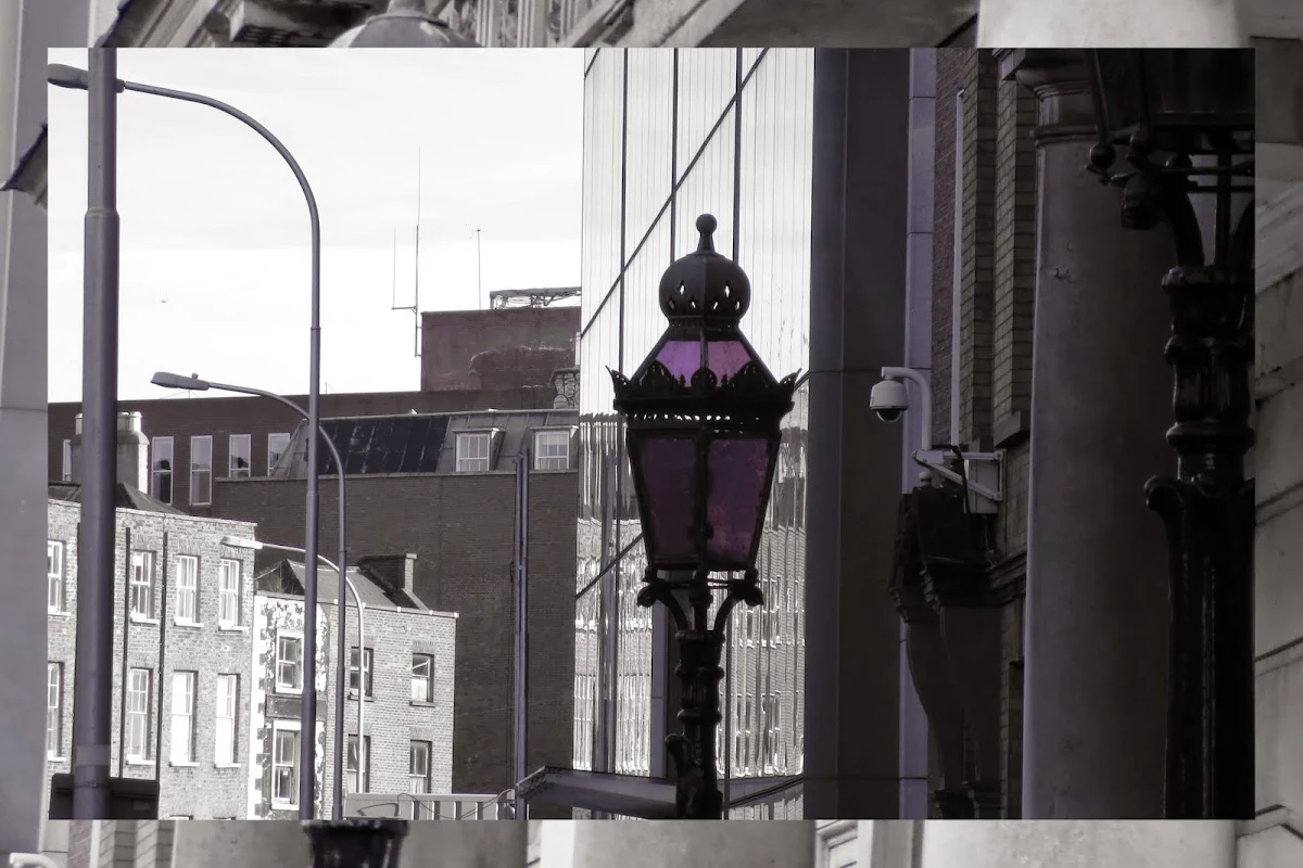 Iveagh House - Purple Lamps