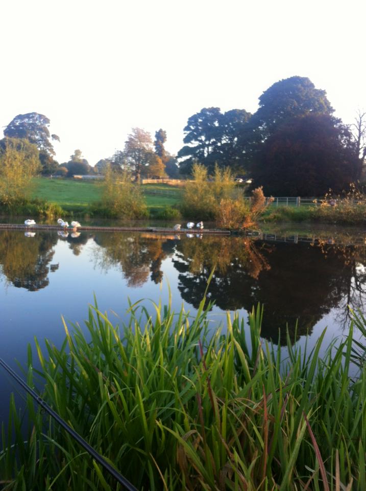 UK fishing venues Swillington Park (Lake 1) Venue Review