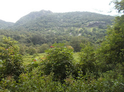 A distant view of the abandoned Portuguese era railway station on the Mountain.