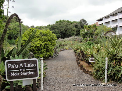 Moir Cacti Gardens at Kiahuna Plantation in Poipu, Kauai, Hawaii