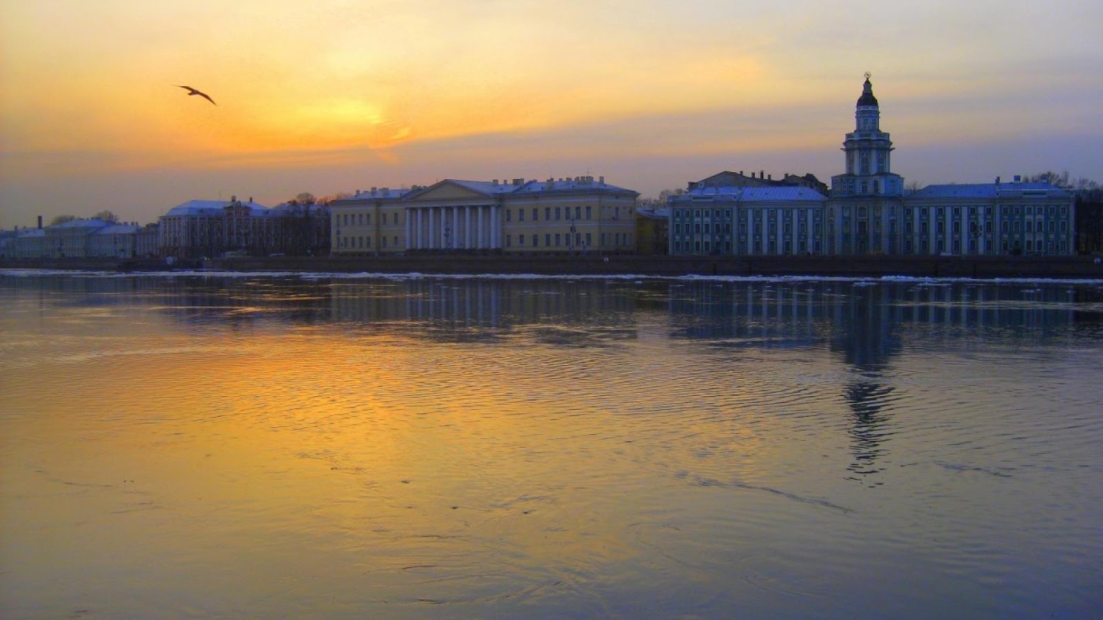 Панорама Санкт-Петербурга. Питер ночной дворец Петра первого панорама. Водная экскурсия «парадный Петербург». Рассвет в Петербурге