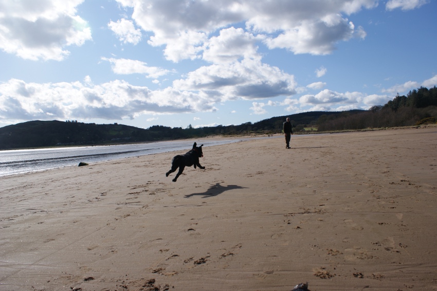 Dog Friendly Scotland Dog Friendly Scottish Beaches Argyll & Bute