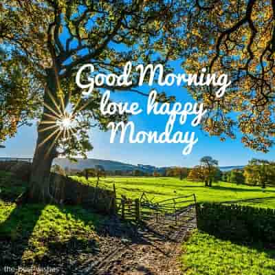 good-morning-happy-monday good morning happy monday