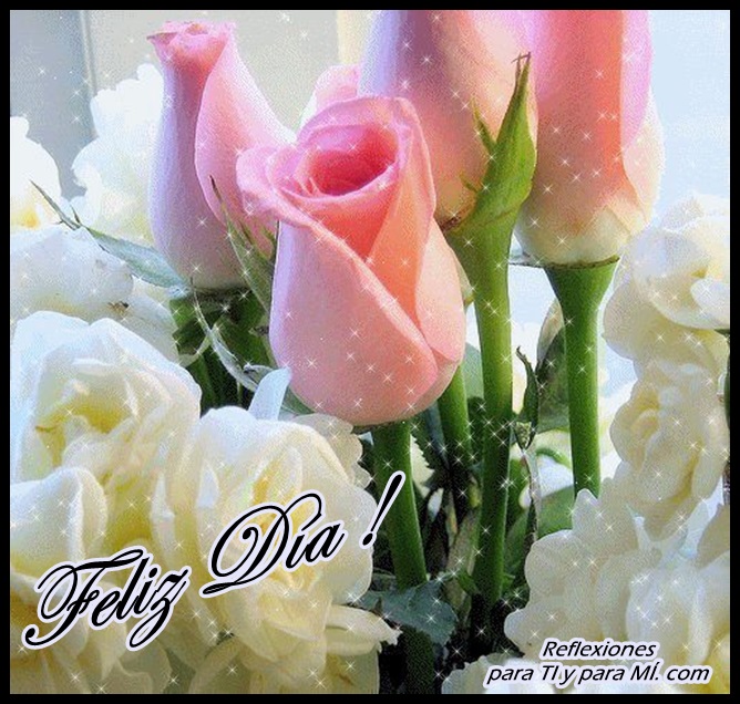 Buenos Deseos Para Ti Y Para MÍ Feliz Día Botones De Rosas Rosas Y