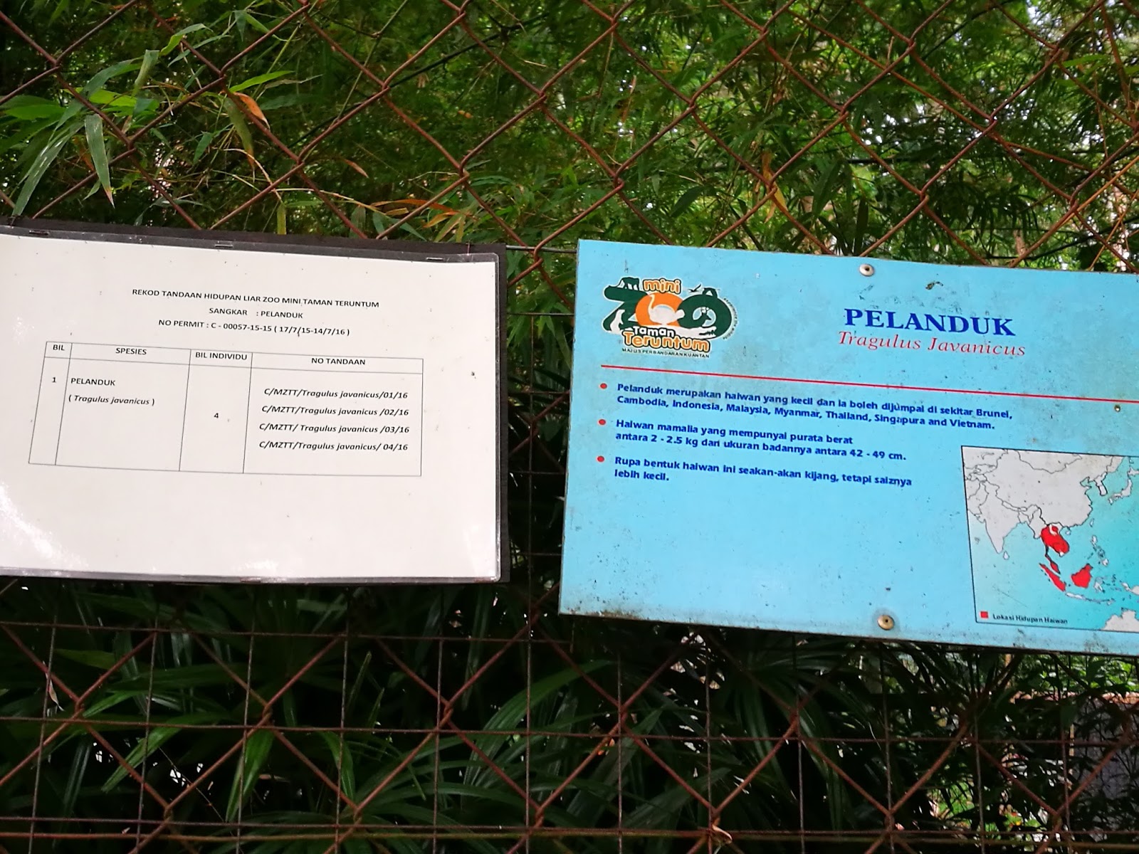 Mini Zoo Taman Teruntum Kuantan, Pahang