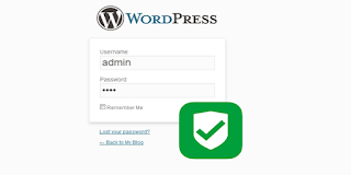 Secure wordpress login