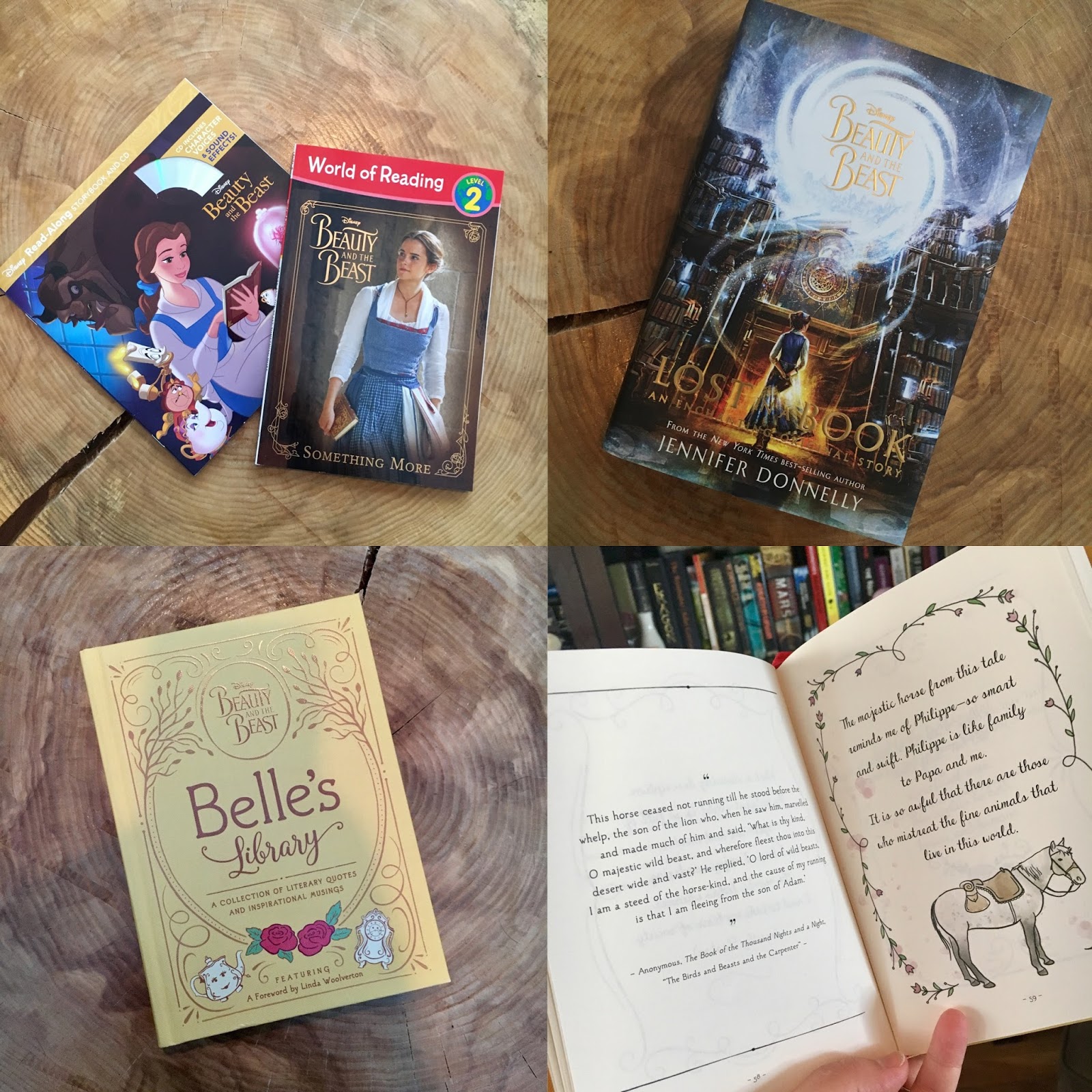 Picturing Disney Beauty & the Beast Bookworm Breakdown!