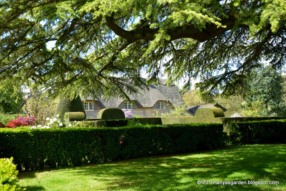 MySecretGarden: Hidcote Manor Garden: May 2015