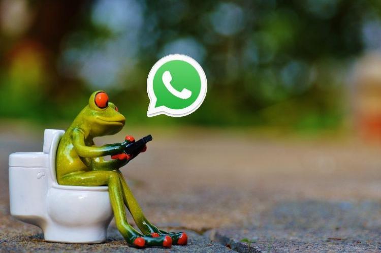 WhatsApp letting your friends to choose you.