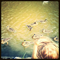 Feeding the ducks