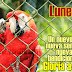 Lunes nuevas bendiciones