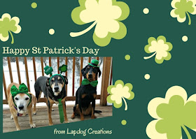 rescue dogs st patricks day dressed up puppy