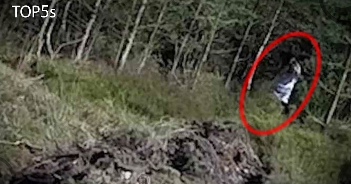 The Fortean Slip 5 Extremely Creepy & Haunted Forests