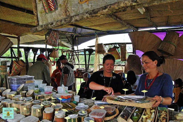 Food Festival en las Kelabit Highlands, Borneo (Malaysia)