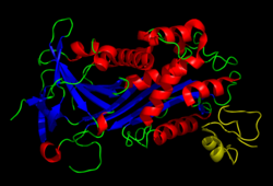 Plasminogen_activator_inhibitor-1
