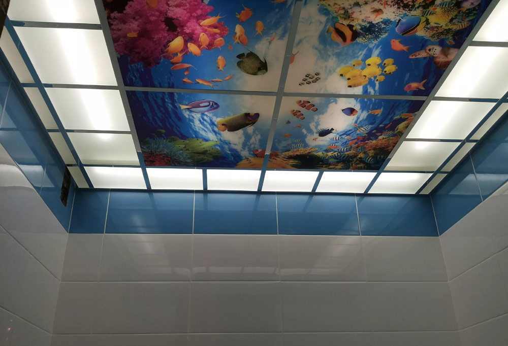 New False Ceiling Design Ideas For Bathroom 2019